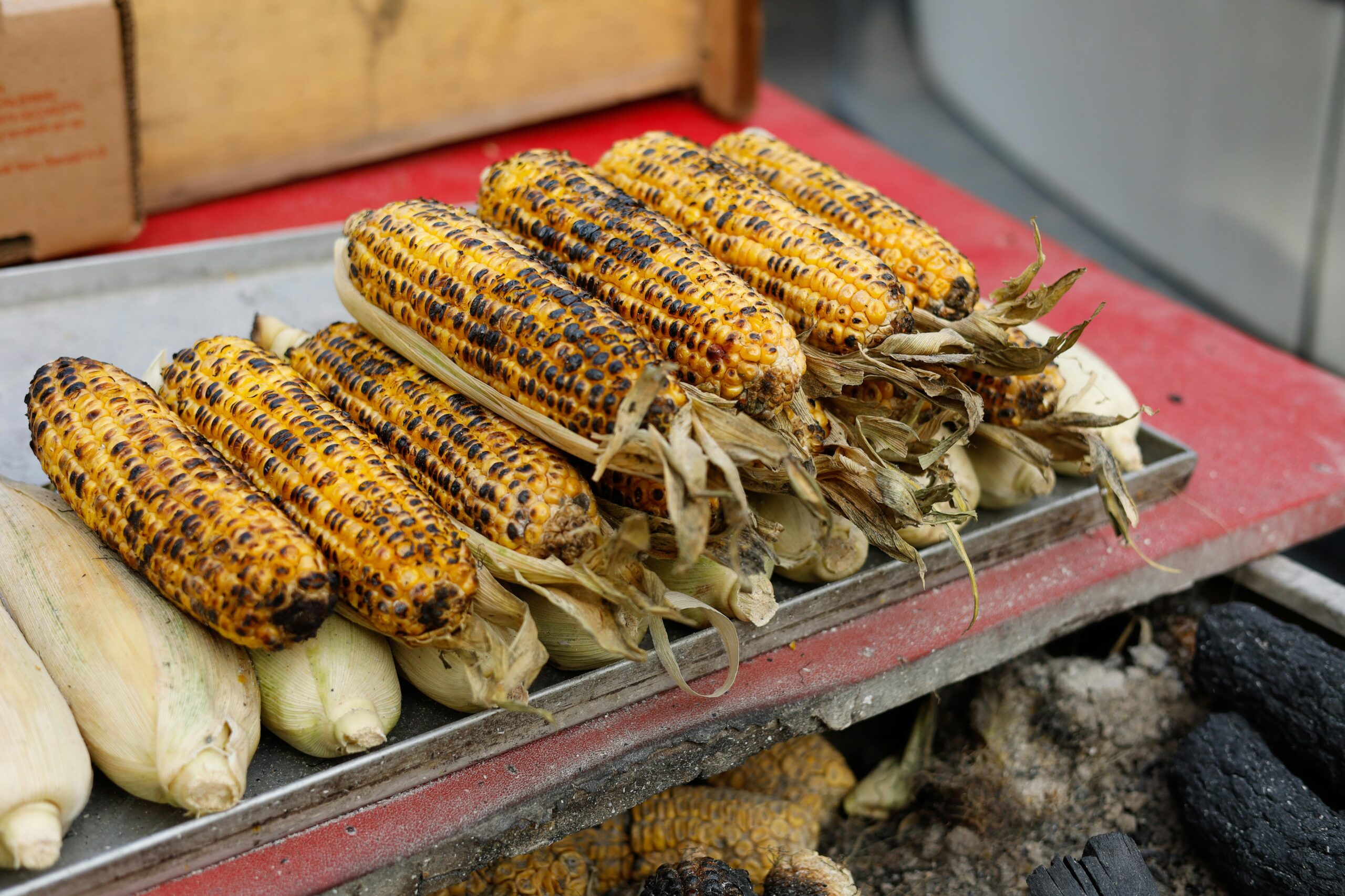 Wat zijn de regels voor barbecueën in Nederlandse parken?