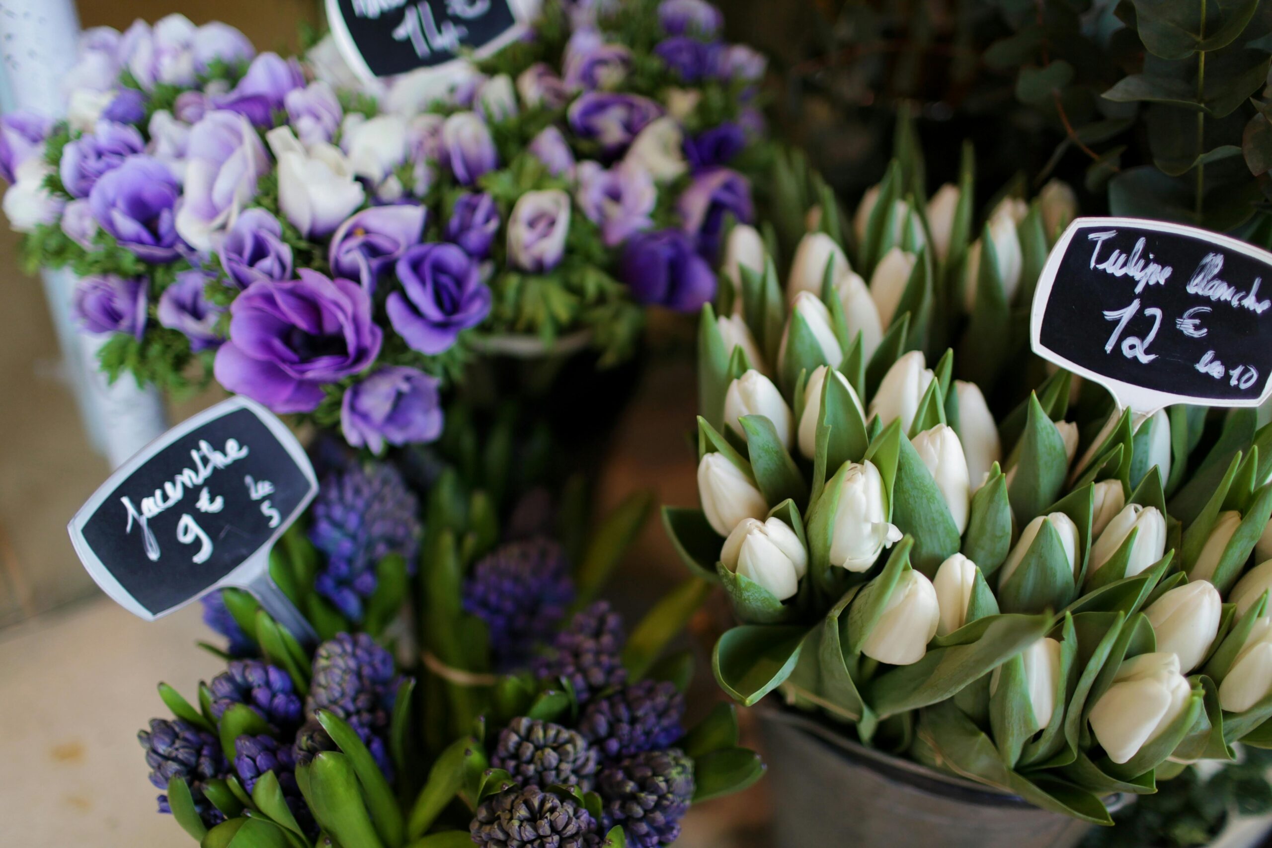 Beste plek om bloemen te kopen in Amsterdam